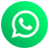 AssistED Whatsapp