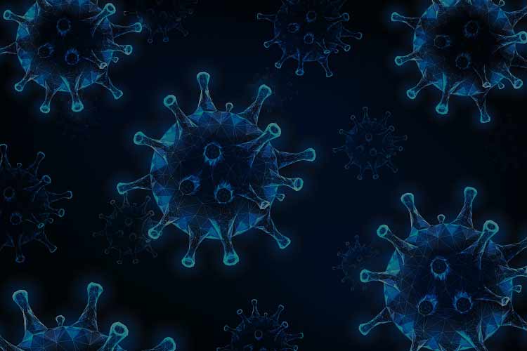 Omicron Variant Could Impact on Study Abroad Travel Plan