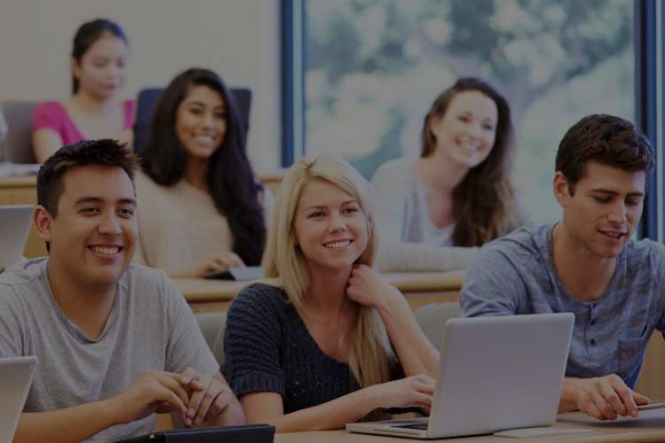 Higher Education in the Digital Age
